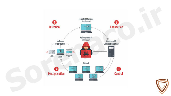 حملات BOTNET