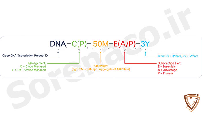 لایسنس DNA