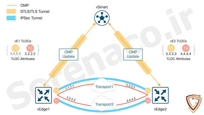 ترمینولوژی SD-WAN سیسکو