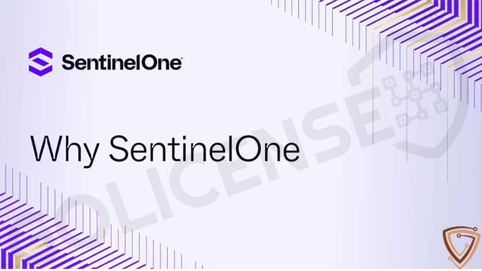 چرا لایسنس SentinelOne