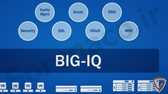 انواع مدلهای لایسنس در BIG-IQ
