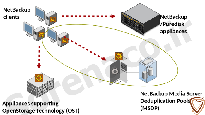بررسی مزایا و ویژگی های لایسنس NetBackUp